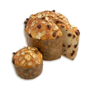 Chocolate Panettone (Kosher)