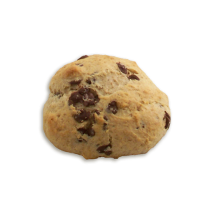 Chocolate Chip Wheat Scone (Kosher)